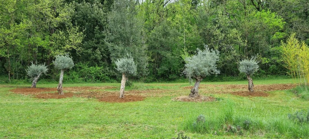 サルラ・ラ・カネダ Domaine De La Queyrieヴィラ エクステリア 写真