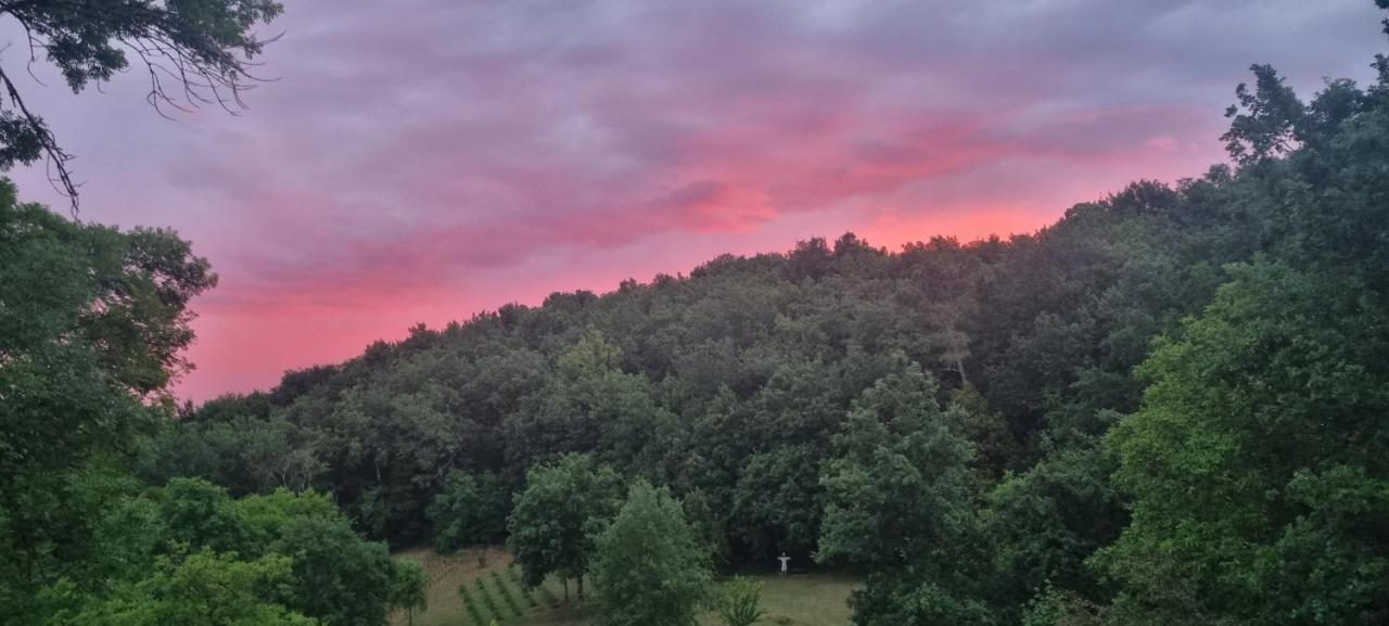 サルラ・ラ・カネダ Domaine De La Queyrieヴィラ エクステリア 写真
