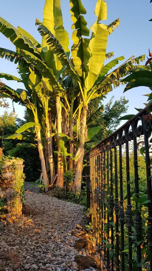 サルラ・ラ・カネダ Domaine De La Queyrieヴィラ エクステリア 写真